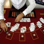 Casino Chronicles: Tales from Our World of Chance