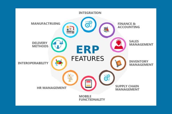 NetSuite ERP Unveiled: The Future of Enterprise Management