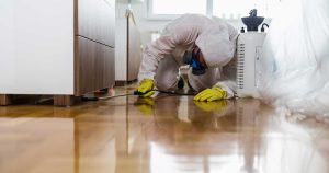 Essential Tips for Hiring a Pest Control Service Provider