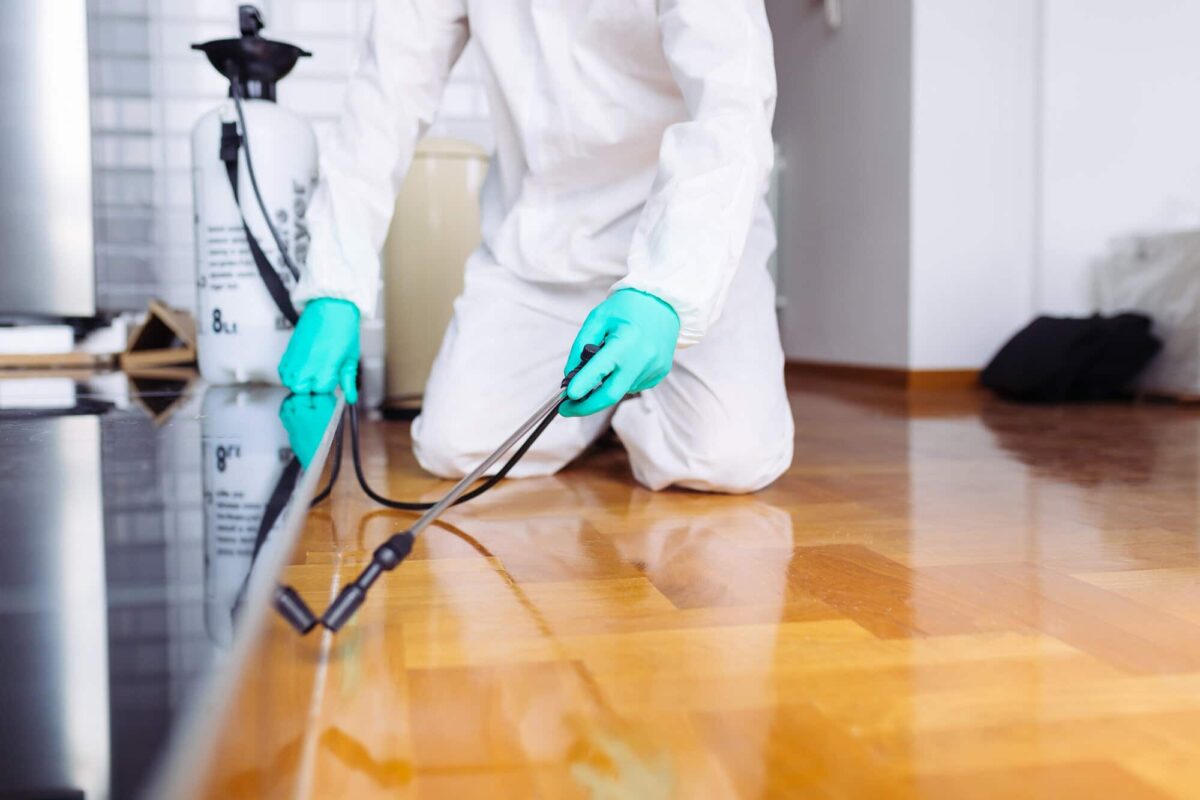 Non-Toxic Pest Control Safeguarding Your Health and Environment