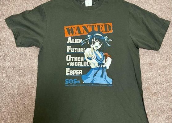 Exploring the Best Haruhi Suzumiya Merch: Must-Have Items